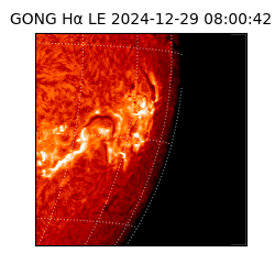 gong - 2024-12-29T08:00:42