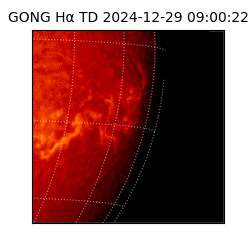 gong - 2024-12-29T09:00:22