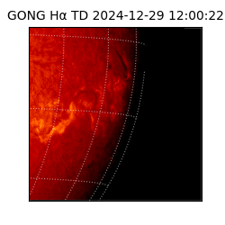 gong - 2024-12-29T12:00:22