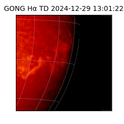 gong - 2024-12-29T13:01:22