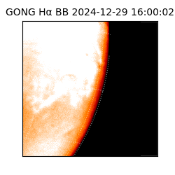 gong - 2024-12-29T16:00:02