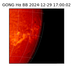 gong - 2024-12-29T17:00:02