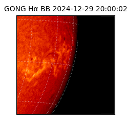 gong - 2024-12-29T20:00:02