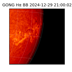 gong - 2024-12-29T21:00:02