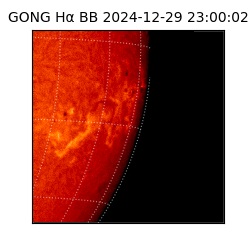 gong - 2024-12-29T23:00:02
