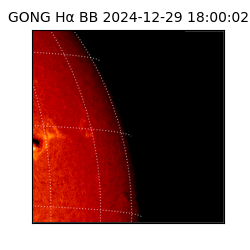 gong - 2024-12-29T18:00:02