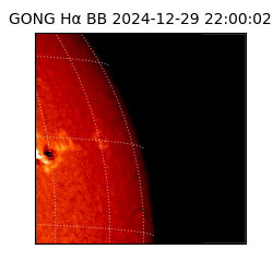 gong - 2024-12-29T22:00:02