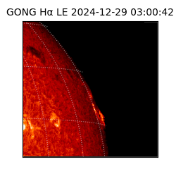 gong - 2024-12-29T03:00:42