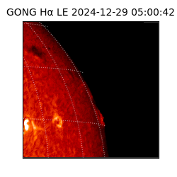 gong - 2024-12-29T05:00:42