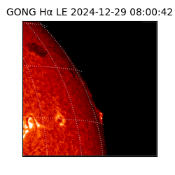 gong - 2024-12-29T08:00:42