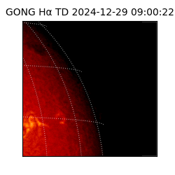 gong - 2024-12-29T09:00:22