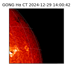 gong - 2024-12-29T14:00:42