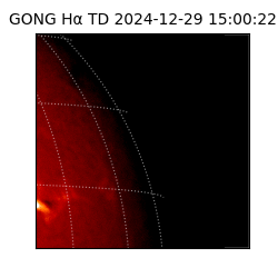gong - 2024-12-29T15:00:22