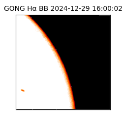 gong - 2024-12-29T16:00:02