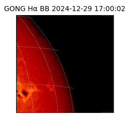 gong - 2024-12-29T17:00:02