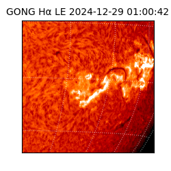 gong - 2024-12-29T01:00:42