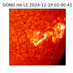 gong - 2024-12-29T02:00:42