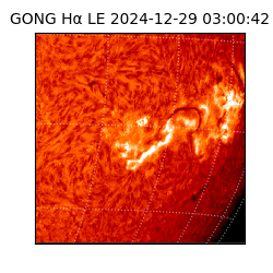 gong - 2024-12-29T03:00:42