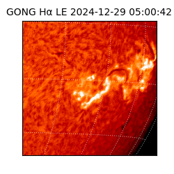 gong - 2024-12-29T05:00:42