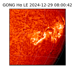 gong - 2024-12-29T08:00:42