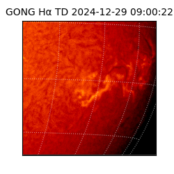 gong - 2024-12-29T09:00:22