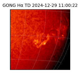 gong - 2024-12-29T11:00:22