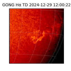 gong - 2024-12-29T12:00:22