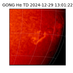 gong - 2024-12-29T13:01:22