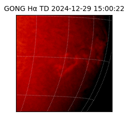 gong - 2024-12-29T15:00:22