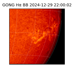 gong - 2024-12-29T22:00:02