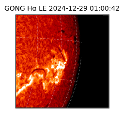 gong - 2024-12-29T01:00:42