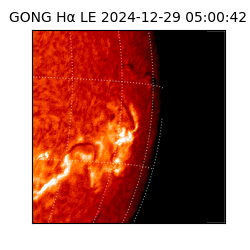 gong - 2024-12-29T05:00:42