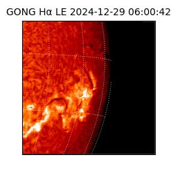 gong - 2024-12-29T06:00:42