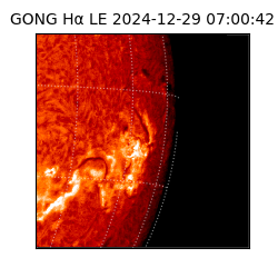 gong - 2024-12-29T07:00:42