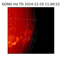 gong - 2024-12-29T11:00:22