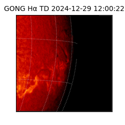 gong - 2024-12-29T12:00:22