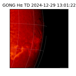 gong - 2024-12-29T13:01:22