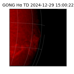 gong - 2024-12-29T15:00:22