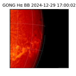 gong - 2024-12-29T17:00:02