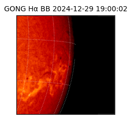 gong - 2024-12-29T19:00:02