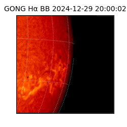 gong - 2024-12-29T20:00:02
