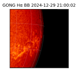 gong - 2024-12-29T21:00:02