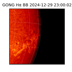 gong - 2024-12-29T23:00:02