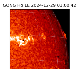 gong - 2024-12-29T01:00:42