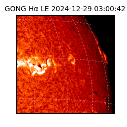 gong - 2024-12-29T03:00:42