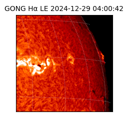 gong - 2024-12-29T04:00:42