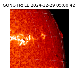 gong - 2024-12-29T05:00:42