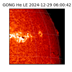 gong - 2024-12-29T06:00:42