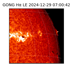 gong - 2024-12-29T07:00:42