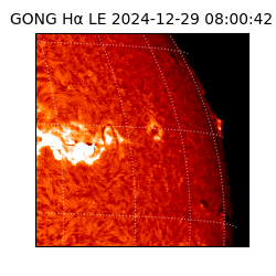 gong - 2024-12-29T08:00:42